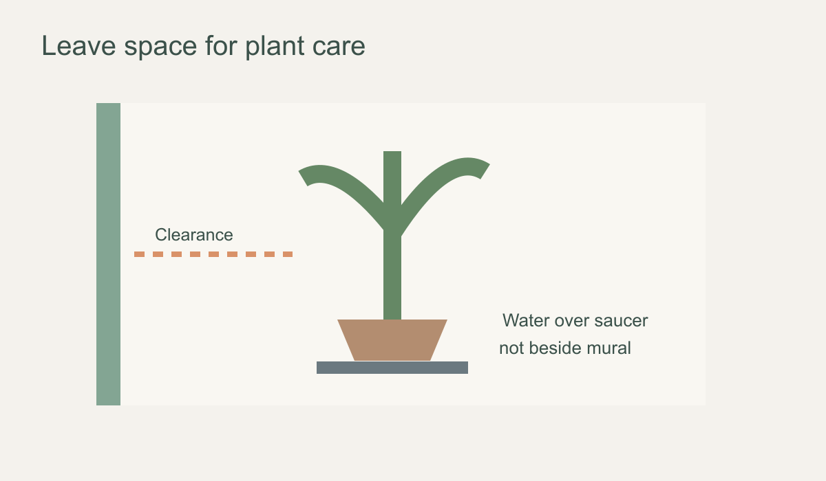 Diagram showing a potted plant set away from the mural with room to water over a saucer