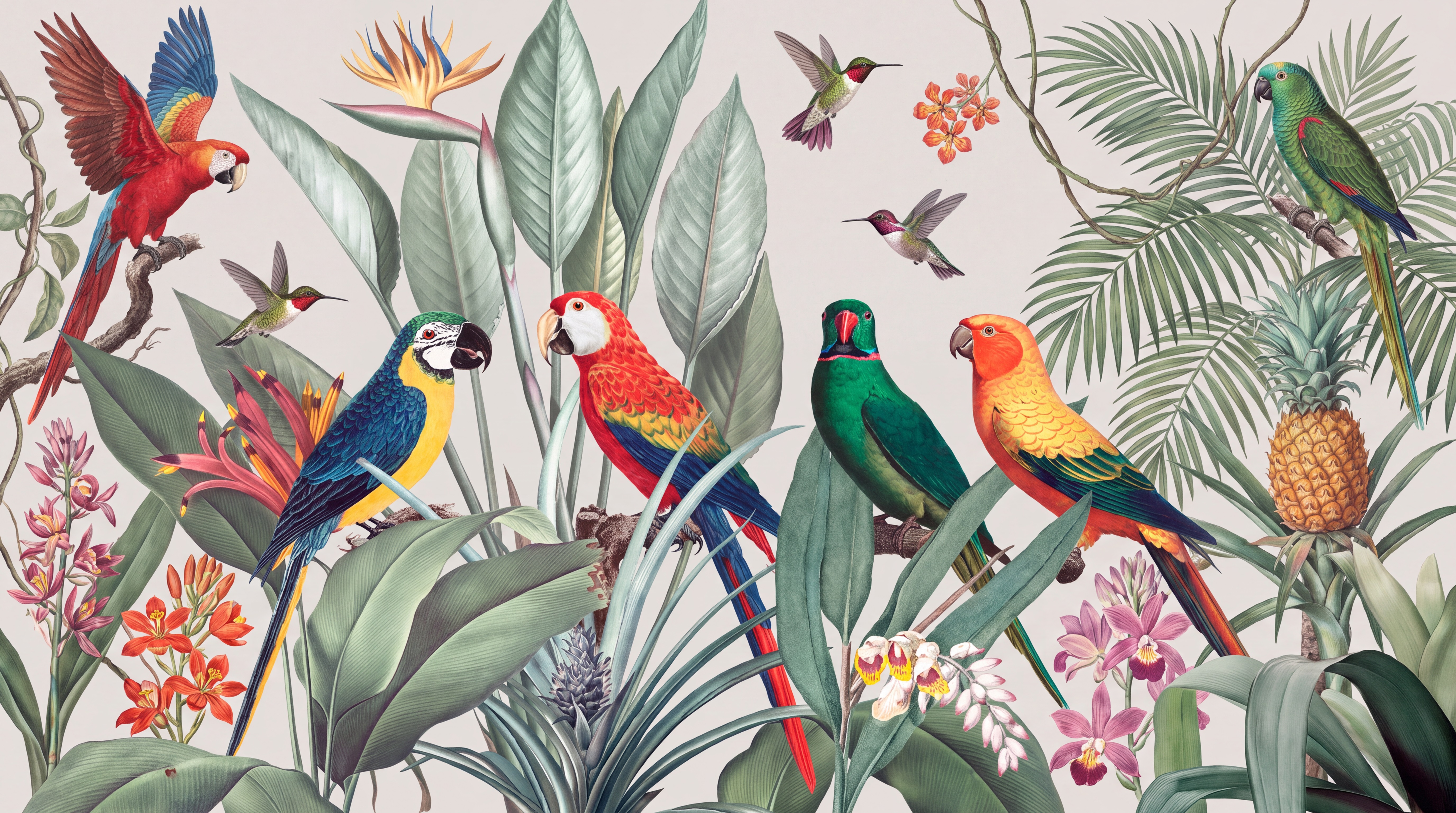 Pink Parrot Illustrated Wallpaper Mural, Peel-and-stick Finish