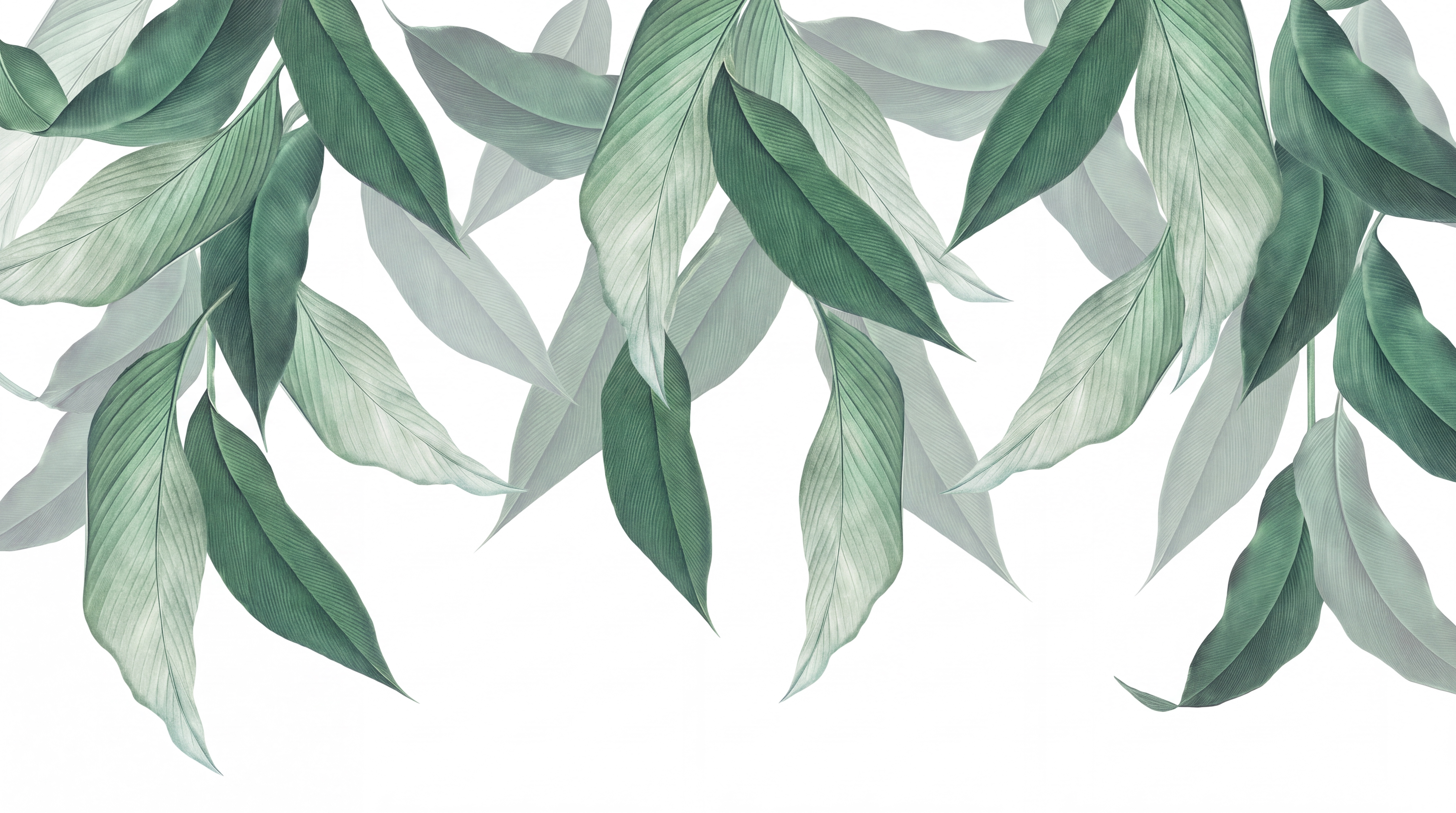 Sage Leaf Botanical Wallpaper Mural, Peel-and-stick Finish