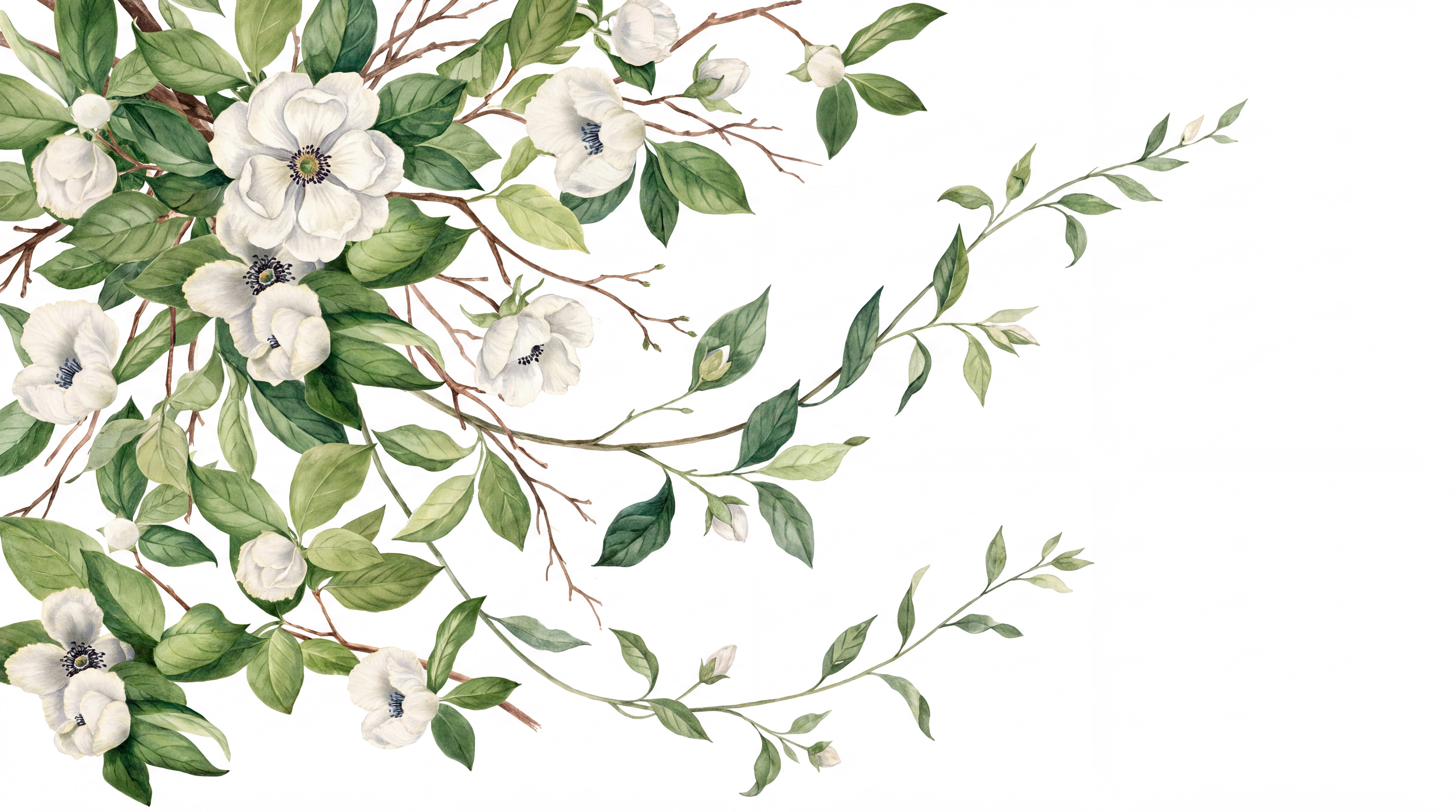 White Blossom Botanical Wallpaper Mural, Peel-and-stick Finish