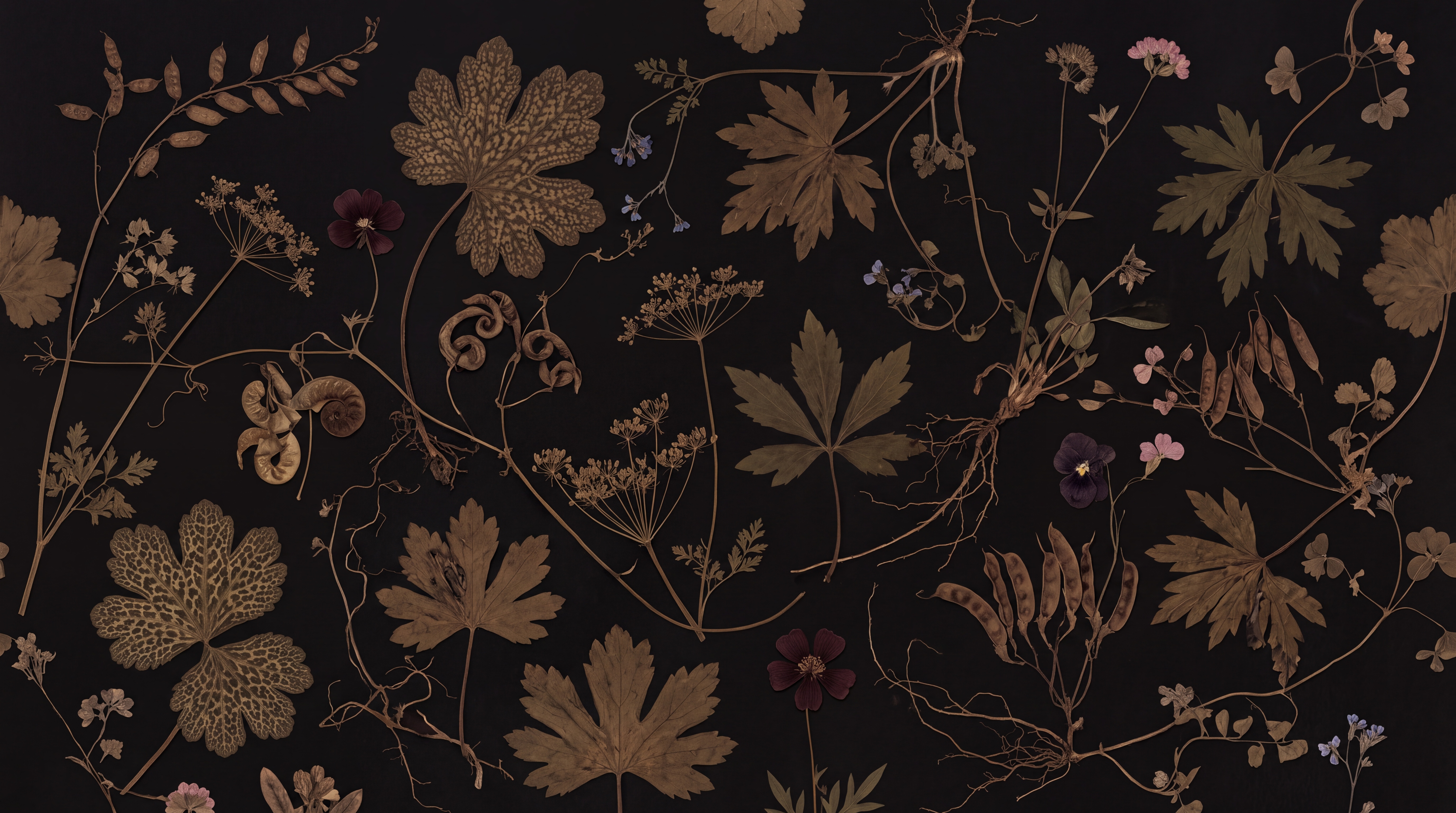 Black Vine Botanical Wallpaper Mural, Peel-and-stick Finish