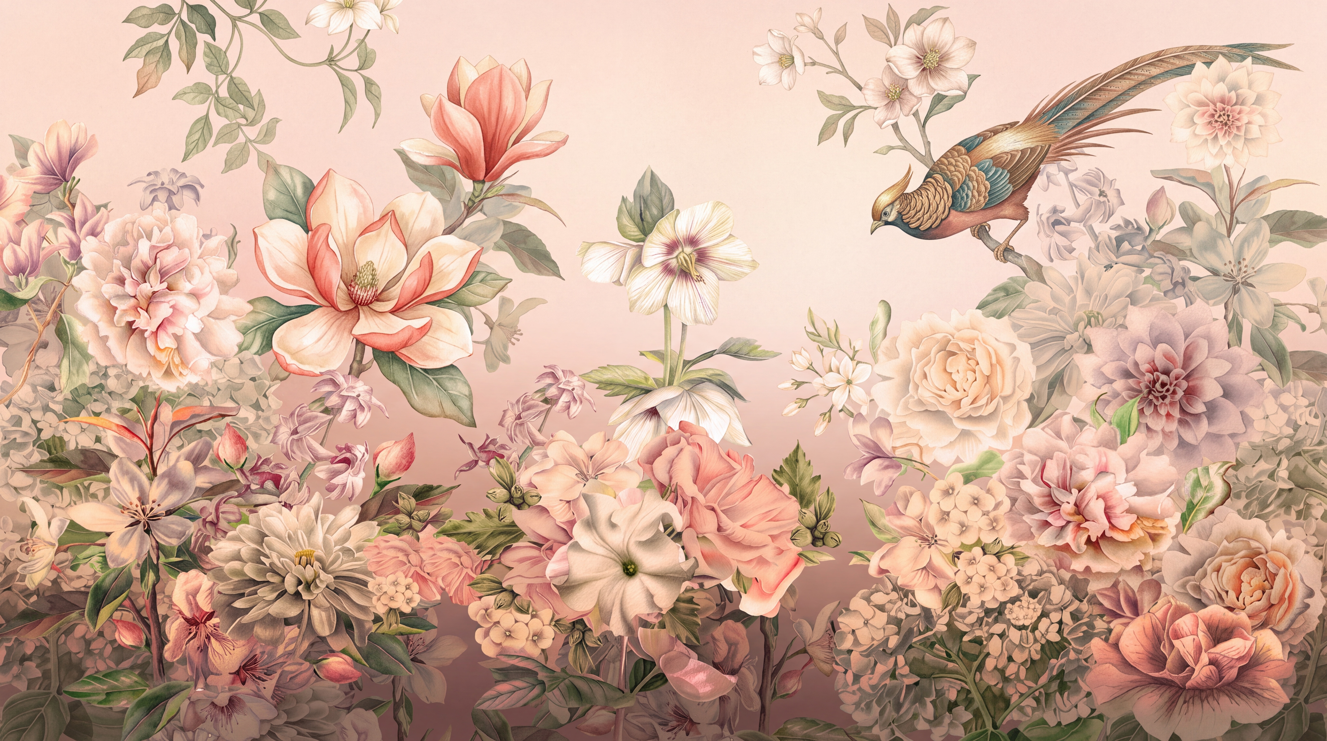 Peach Bird Illustrated Wallpaper Mural, Peel-and-stick Finish