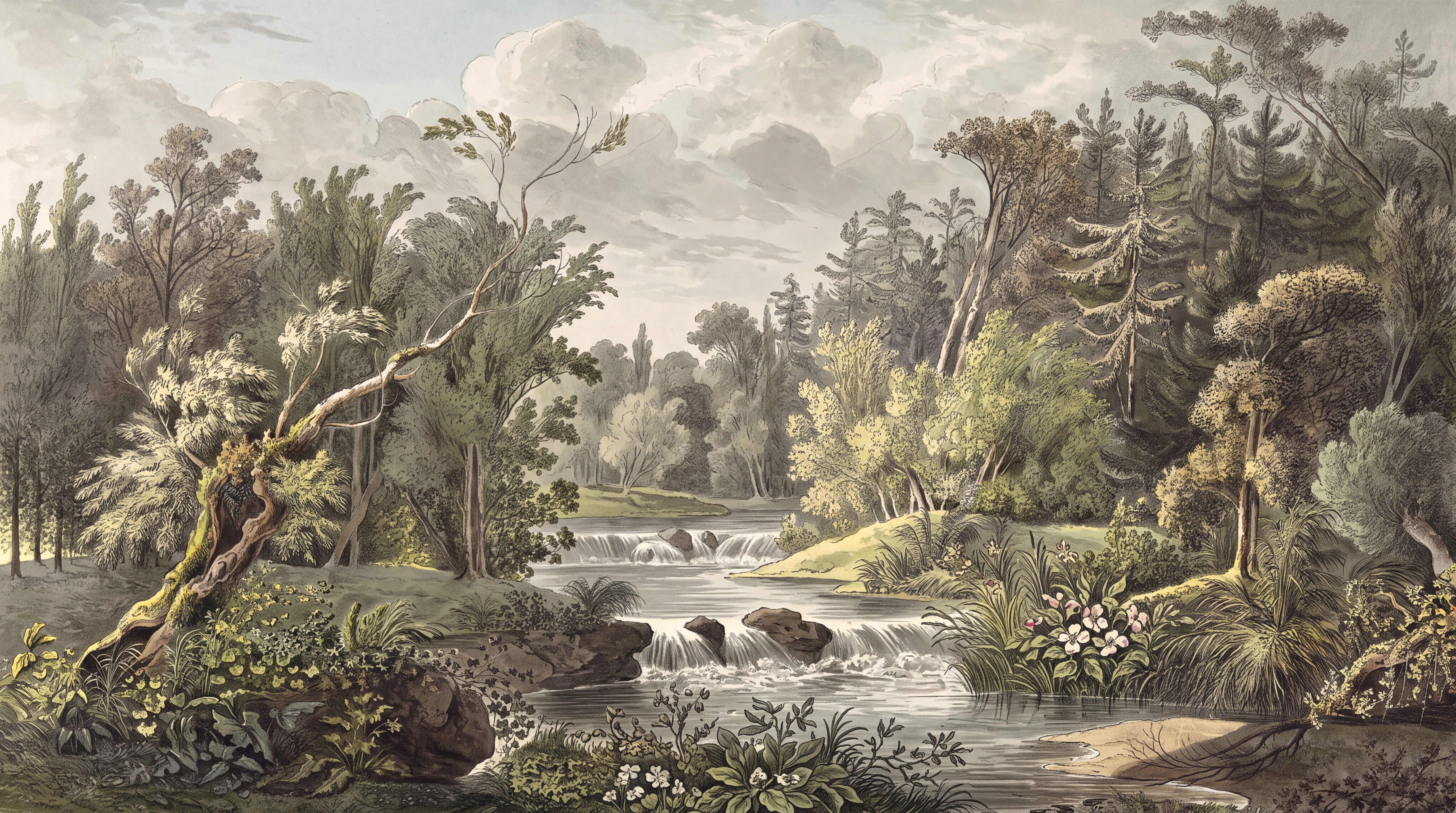 Olive River Scenic Decorative Wallpaper Mural, Peel-and-stick Finish