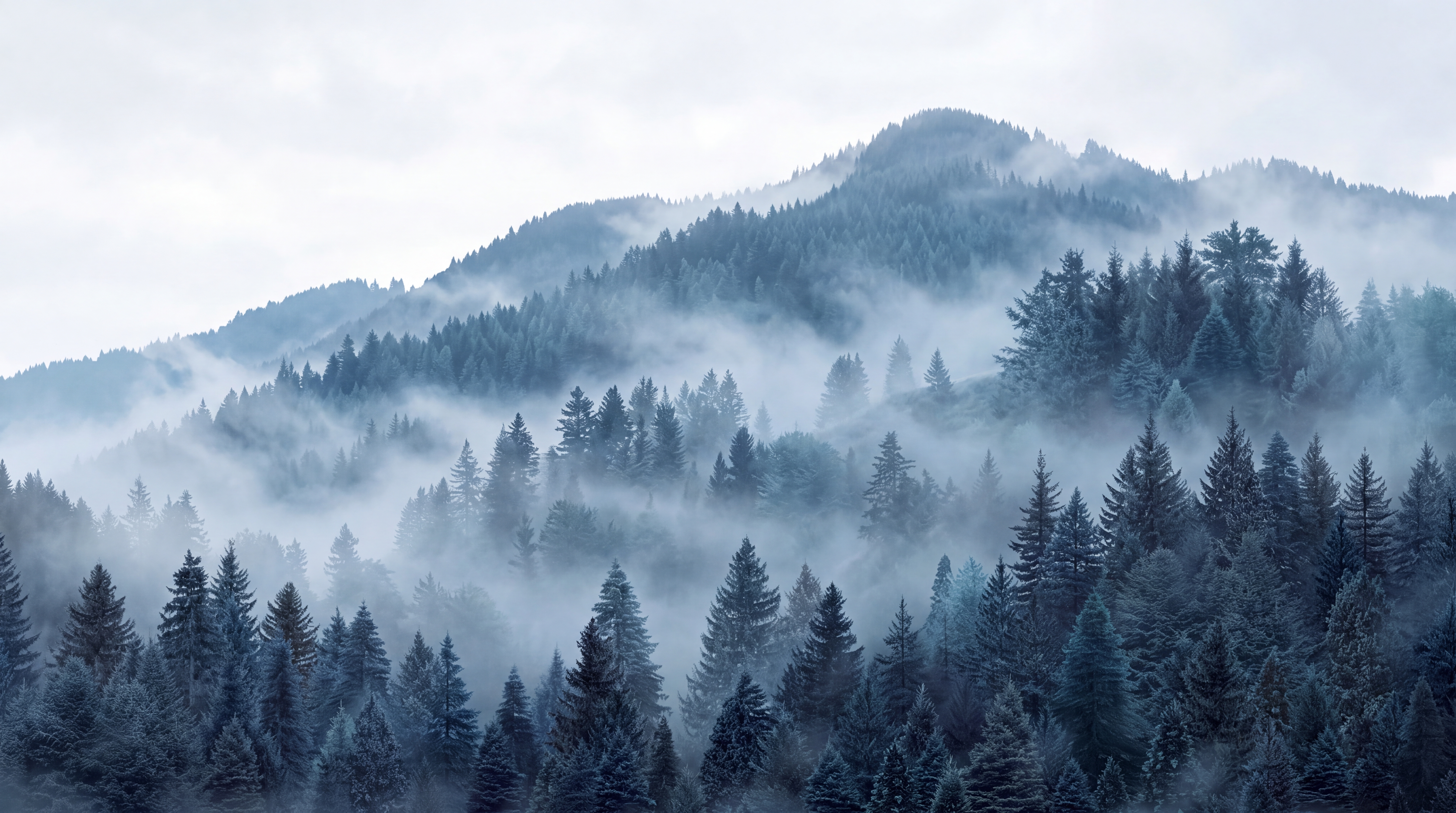 Blue Forest Scenic Decorative Wallpaper Mural, Peel-and-stick Finish