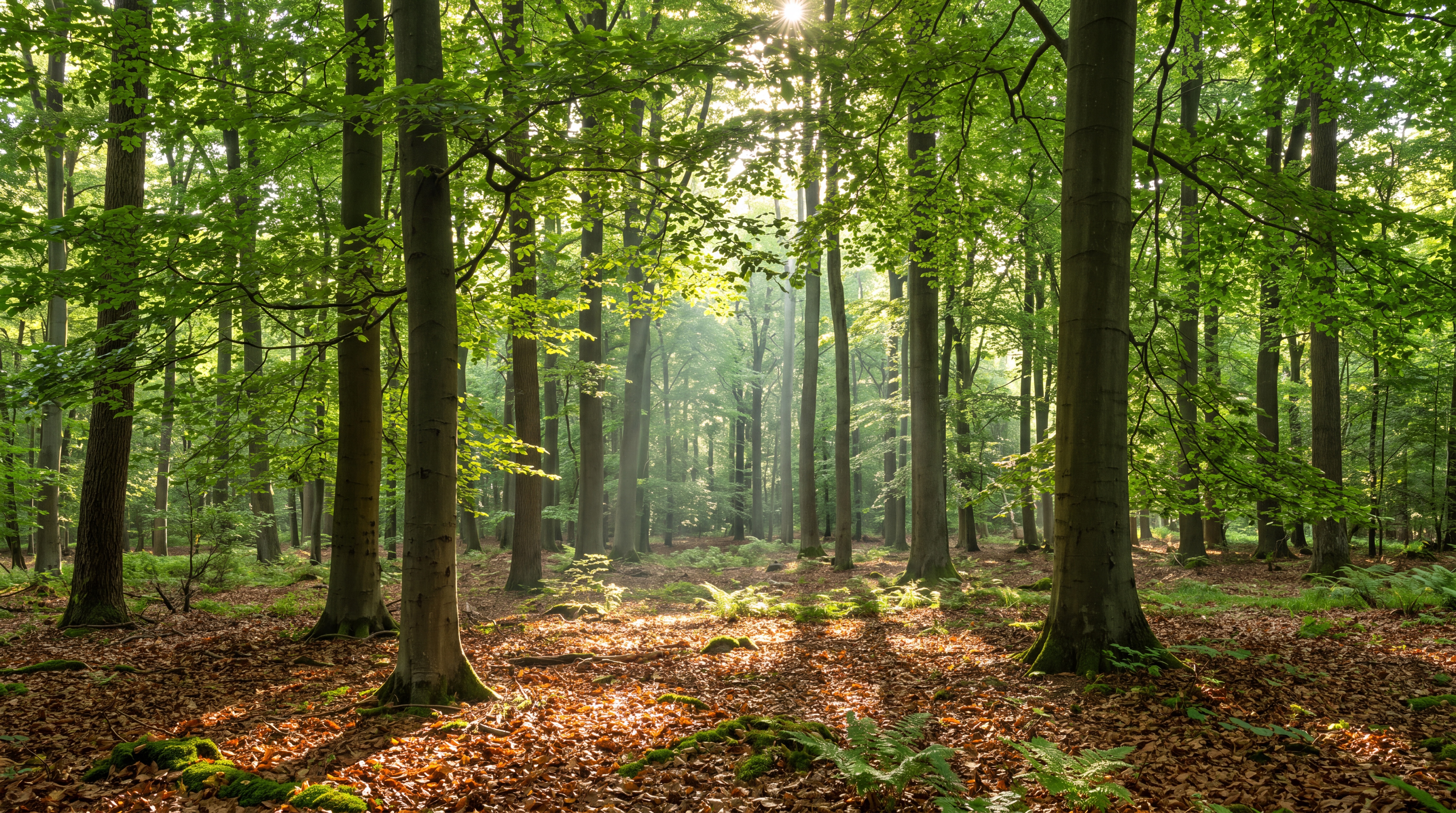 Green Forest Scenic Painterly Wallpaper Mural, Peel-and-stick Finish