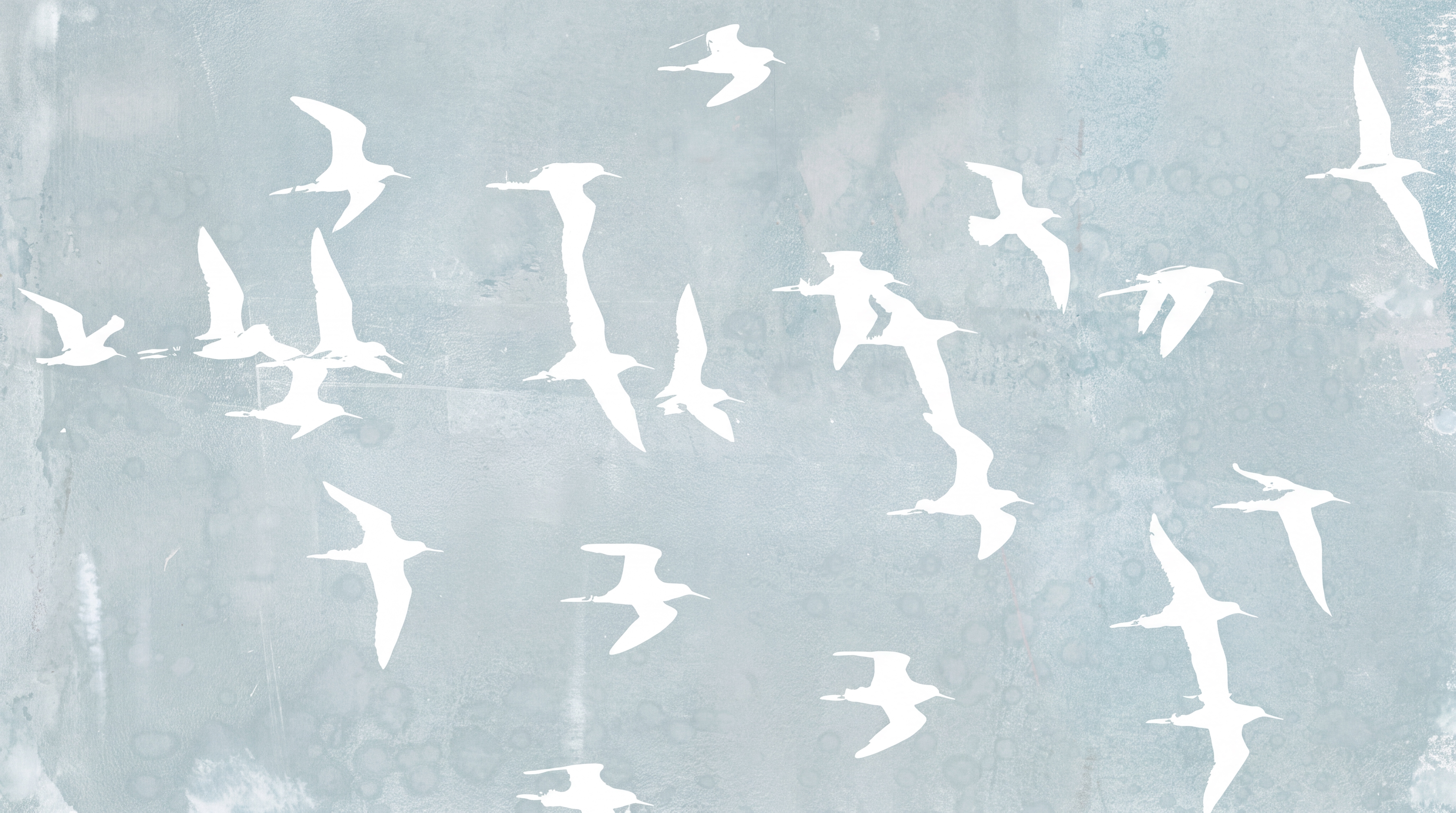Blue Bird Illustrated Layered Wallpaper Mural, Peel-and-stick Finish
