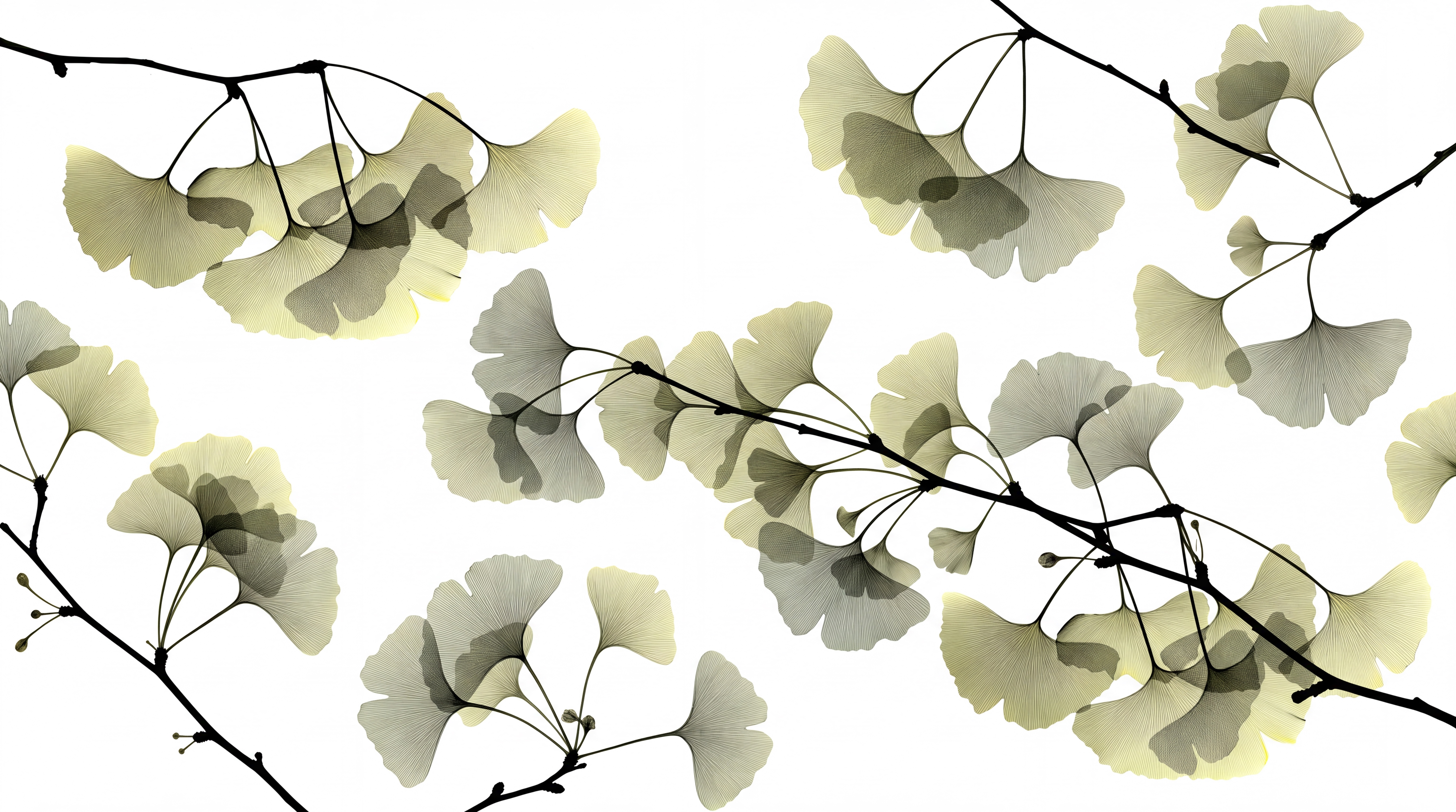 Olive Pattern Decorative Atmospheric Wallpaper Mural Entryway-wallpaper-murals, Peel-and-stick Finish