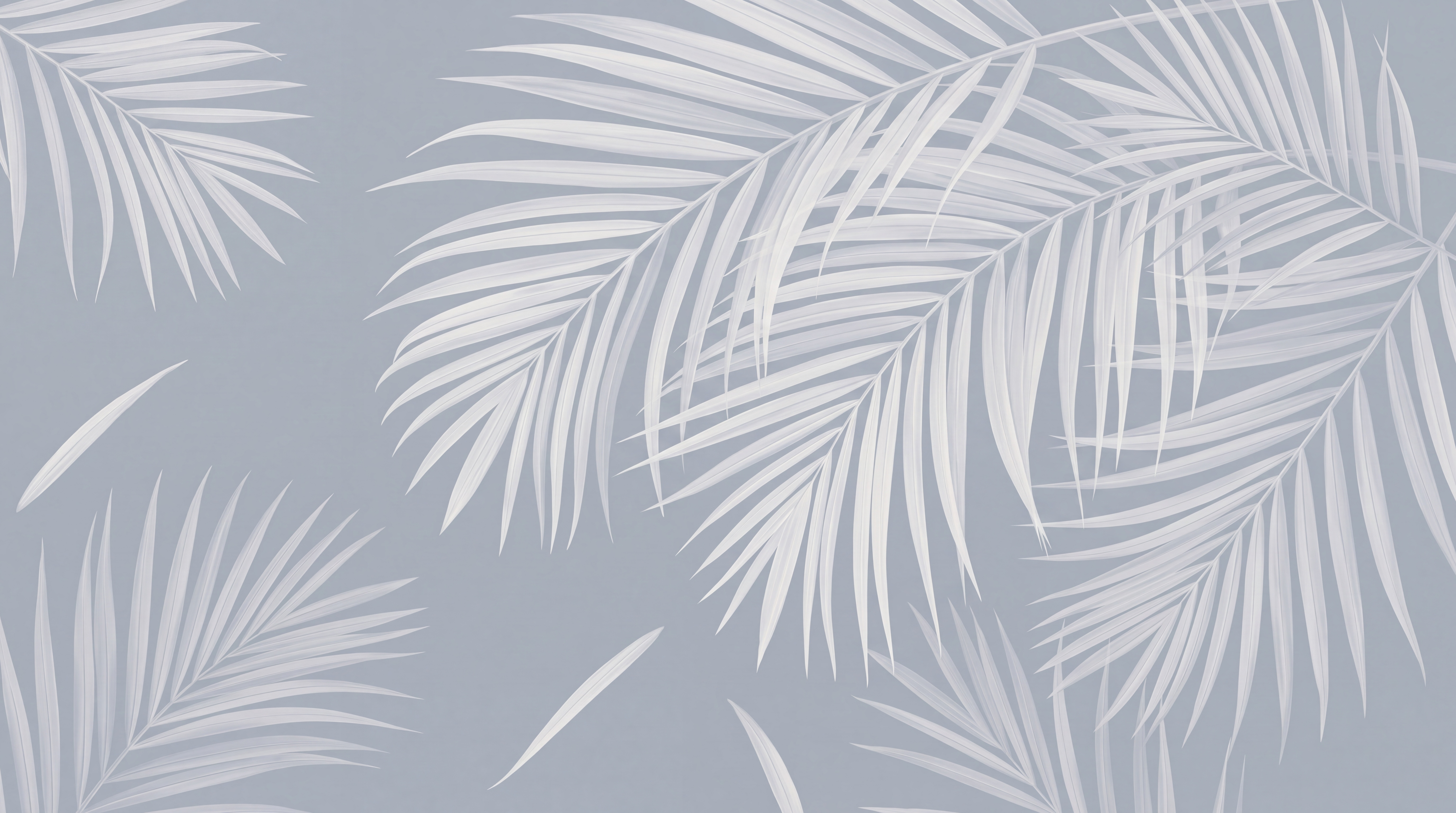 Grey Palm Artful Decorative Wallpaper Mural, Peel-and-stick Finish