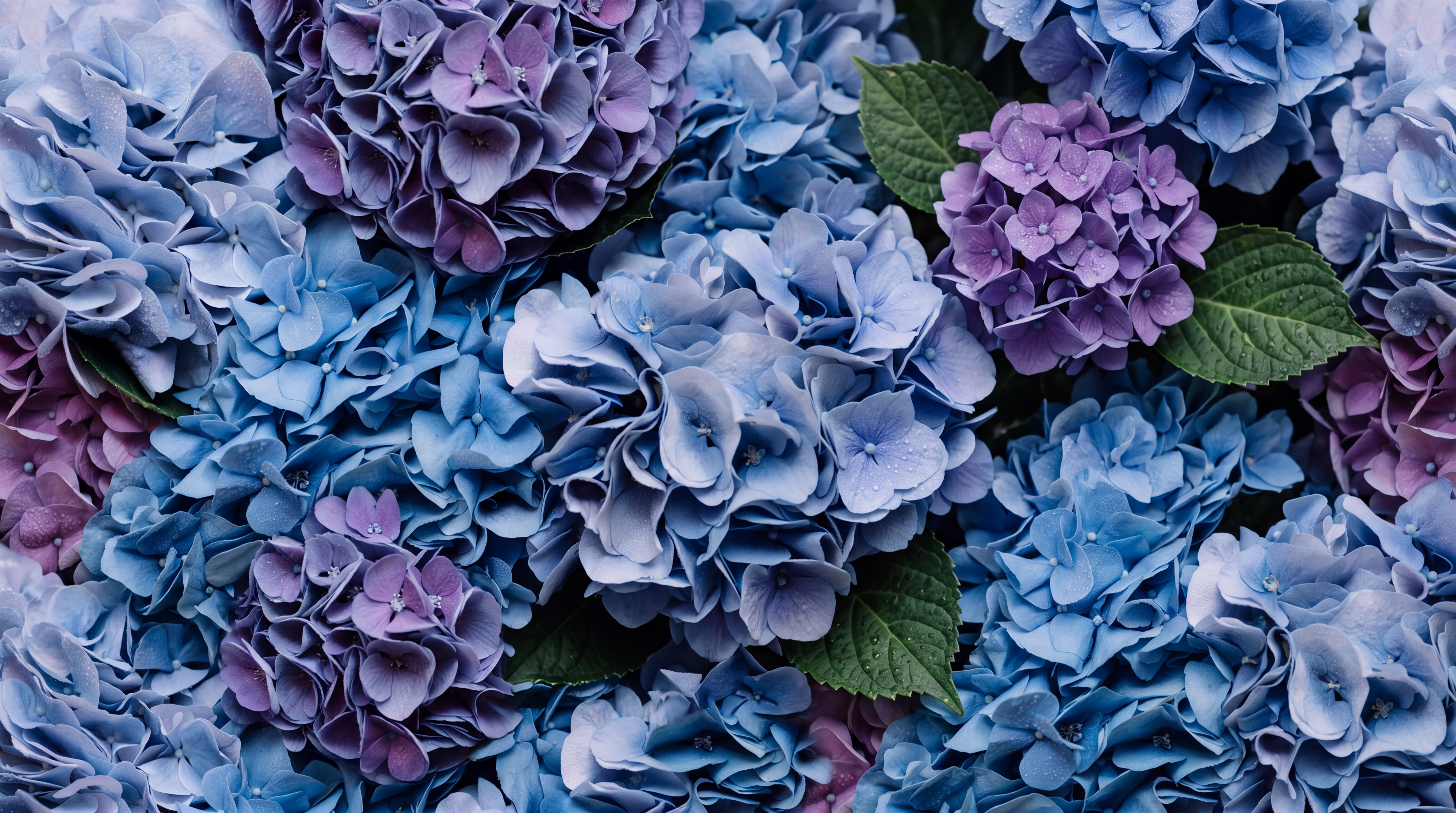 Blue Pattern Decorative Wallpaper Mural Layered Soft Contours Wallpaper, Peel-and-stick Finish