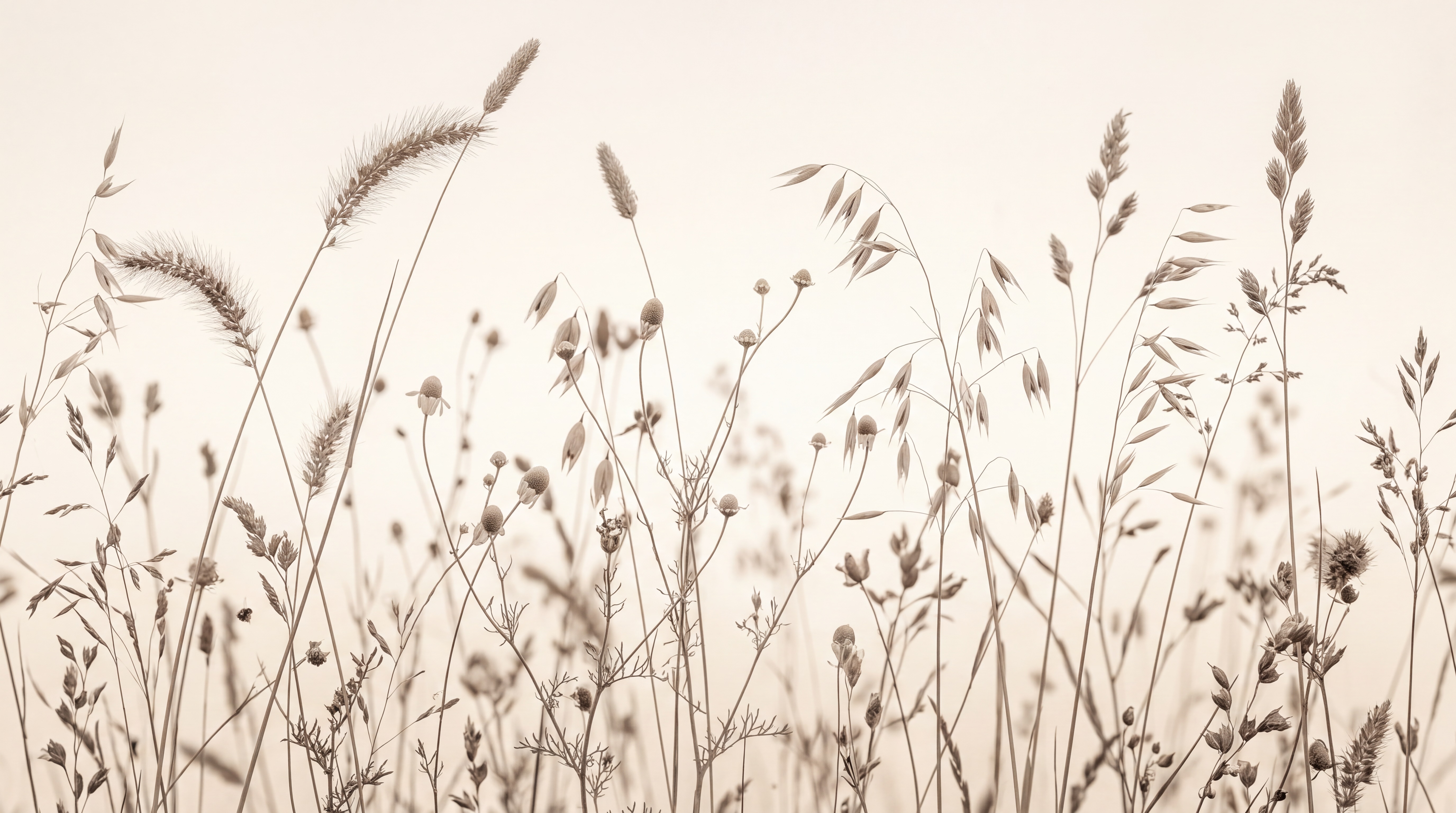 Beige Grasses Artful Wallpaper Mural, Peel-and-stick Finish