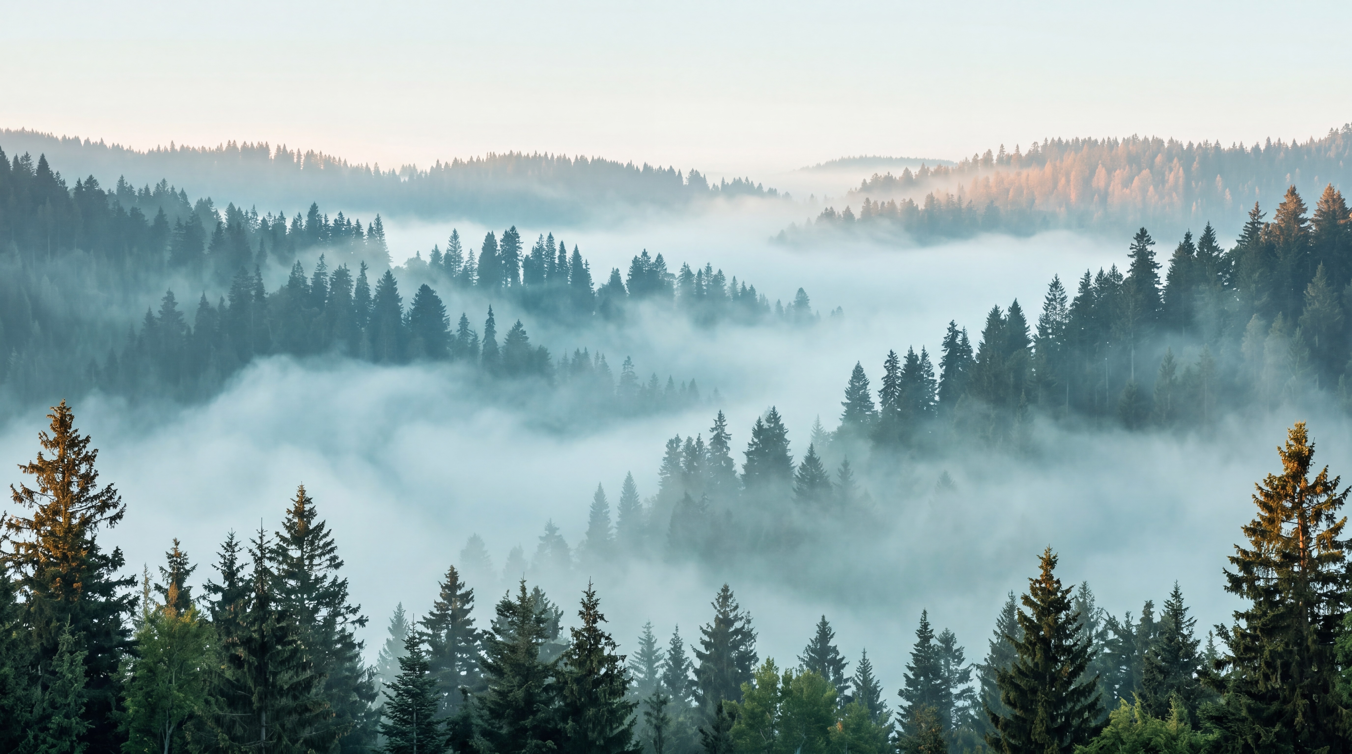 Teal Forest Scenic Layered Wallpaper Mural, Peel-and-stick Finish