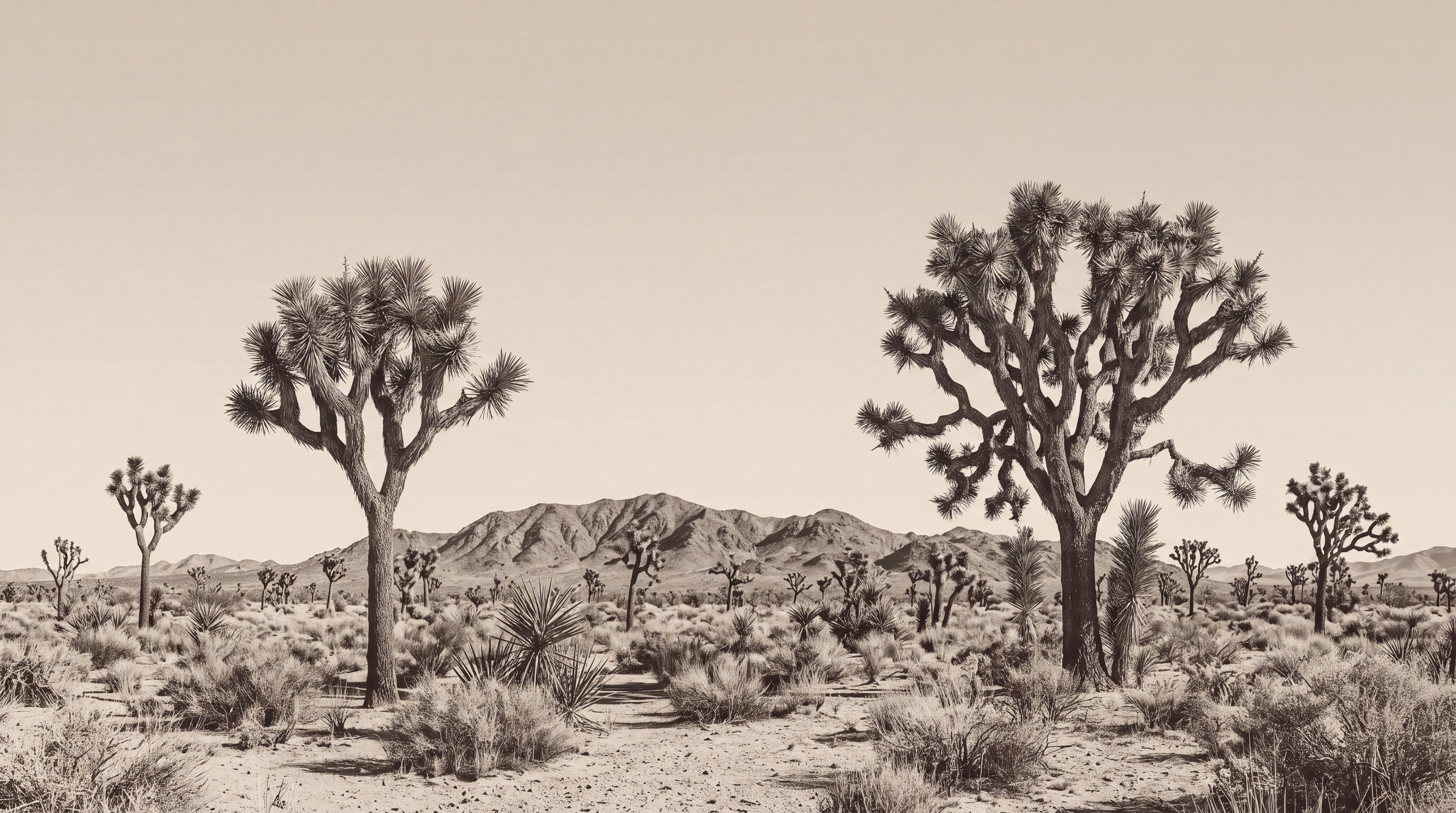 Beige Desert Landscape Wallpaper Mural, Peel-and-stick Finish