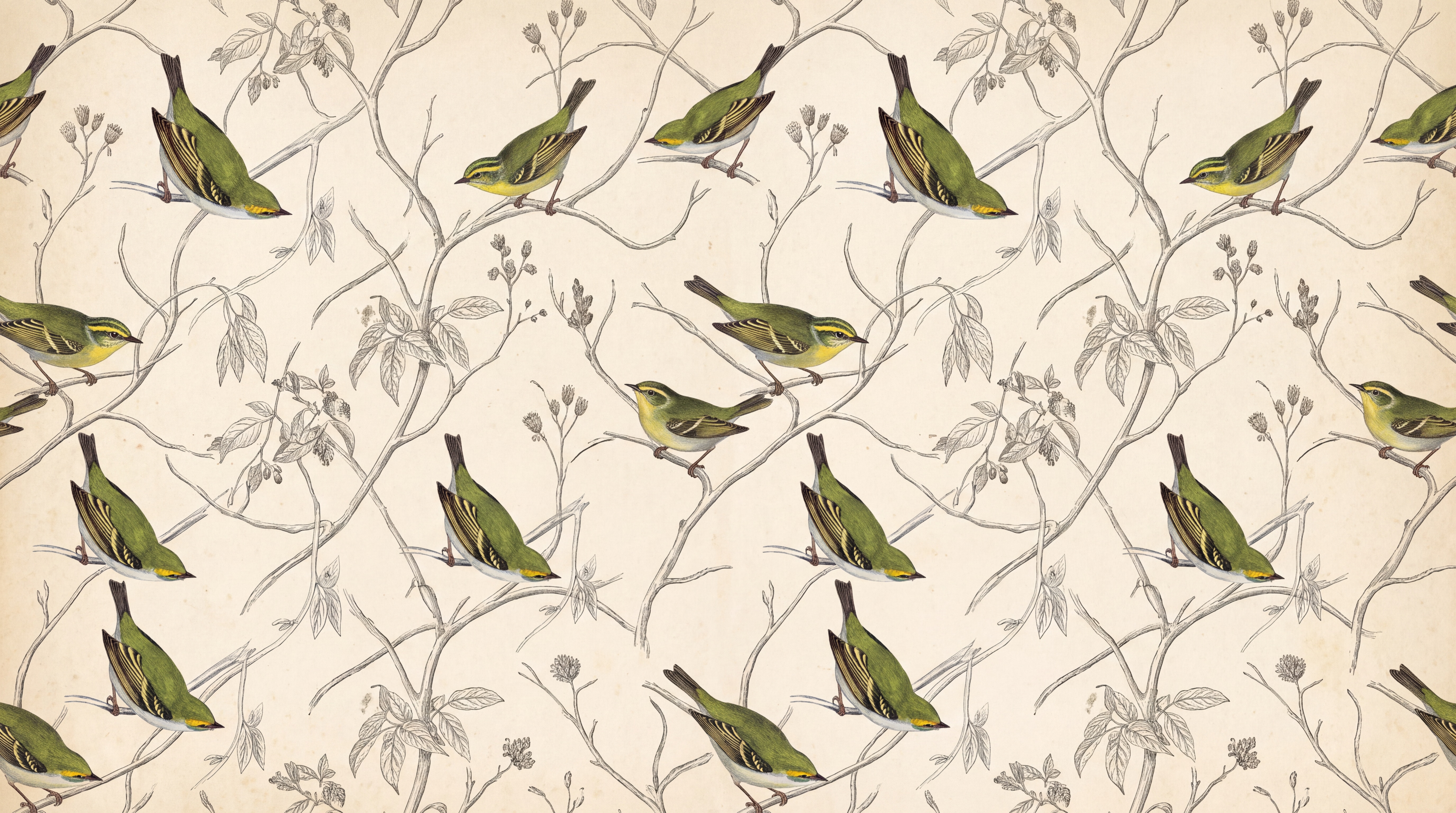 Green Bird Illustrated Layered Wallpaper Mural, Peel-and-stick Finish