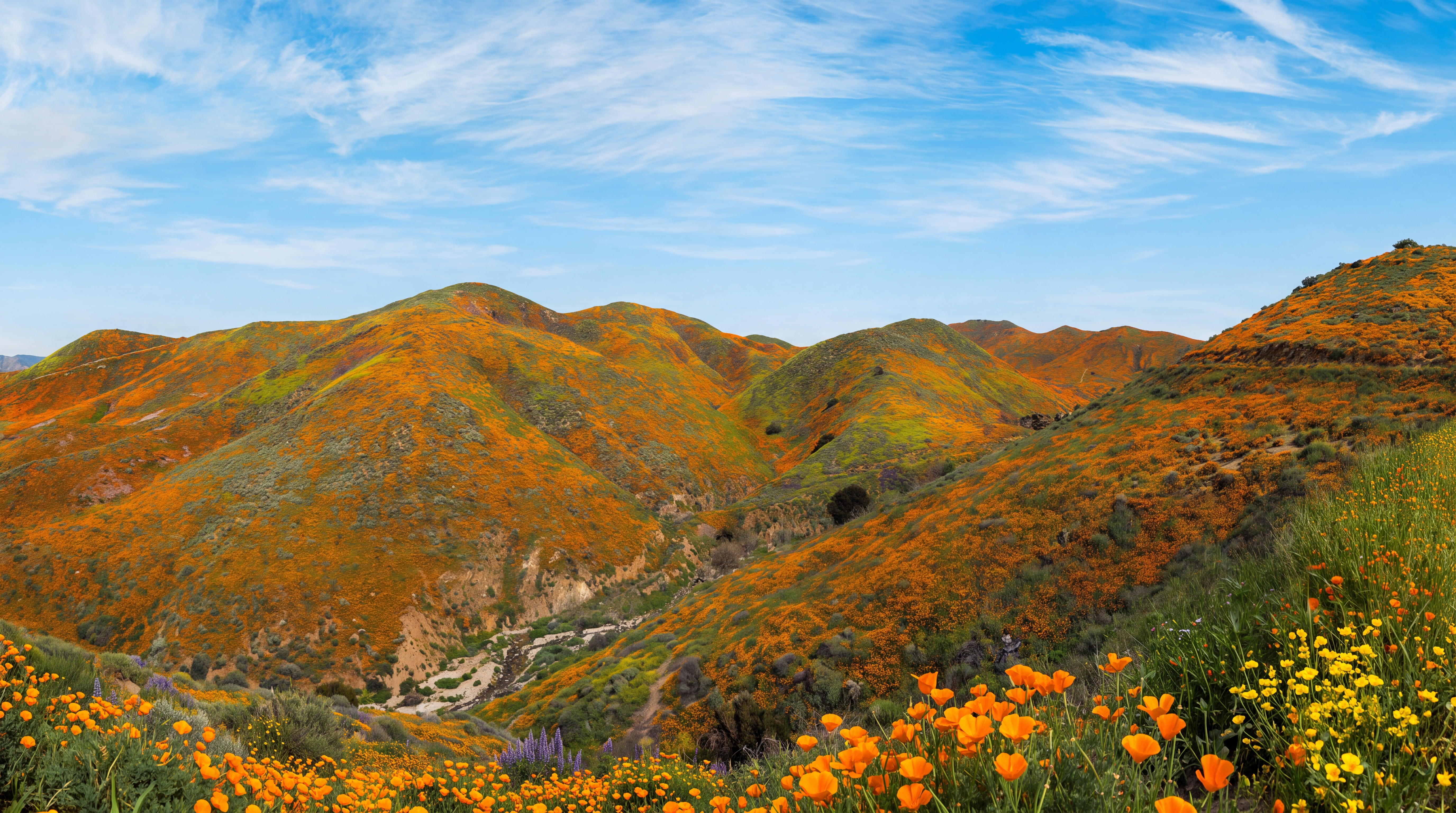 Orange Meadow Scenic Wallpaper Mural Home-office-wallpaper-murals, Peel-and-stick Finish