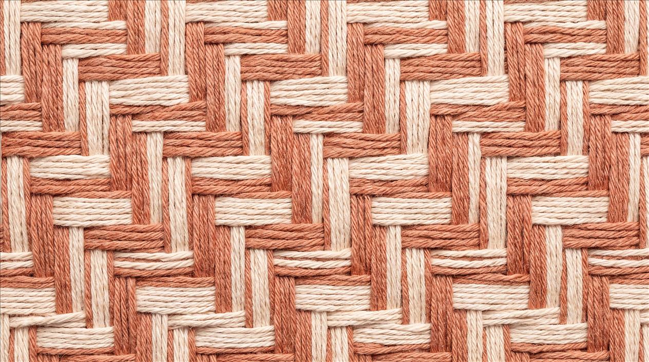 Tan And Neutral Abstract Forms Organic Gentle Wallpaper Mural Accent-wall-wallpaper-murals, Peel-and-stick Finish