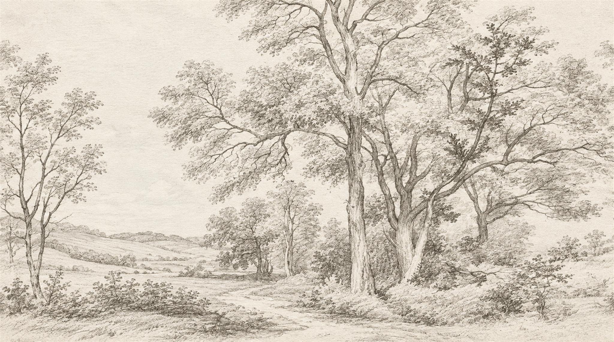Sepia Woodland Trees And Rolling Hills Wallpaper Mural — Wallpaper Mural Design, Peel-and-stick Finish