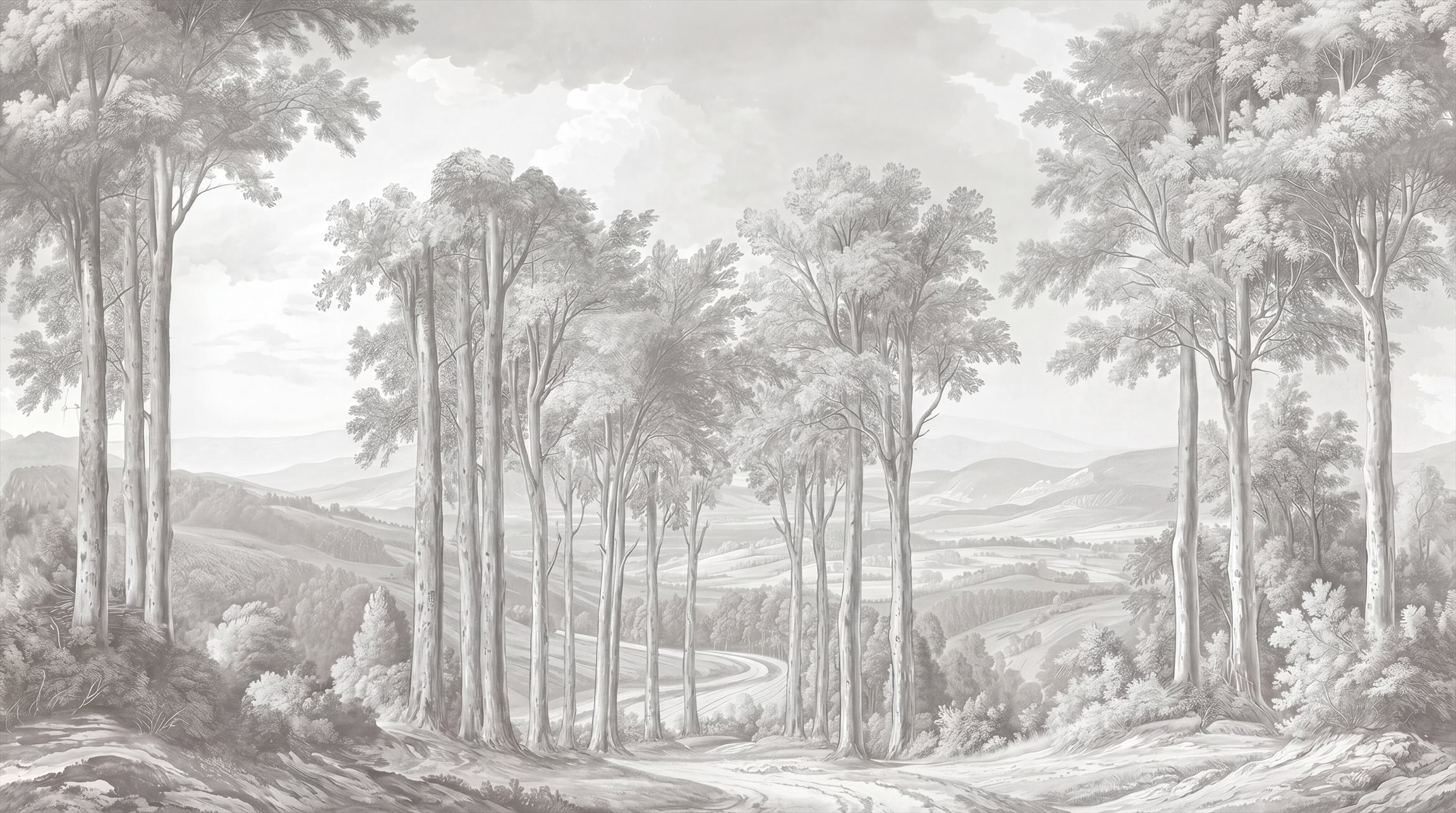 Grey Woodland Trees Wallpaper Mural Feature-wall-wallpaper-murals, Peel-and-stick Finish