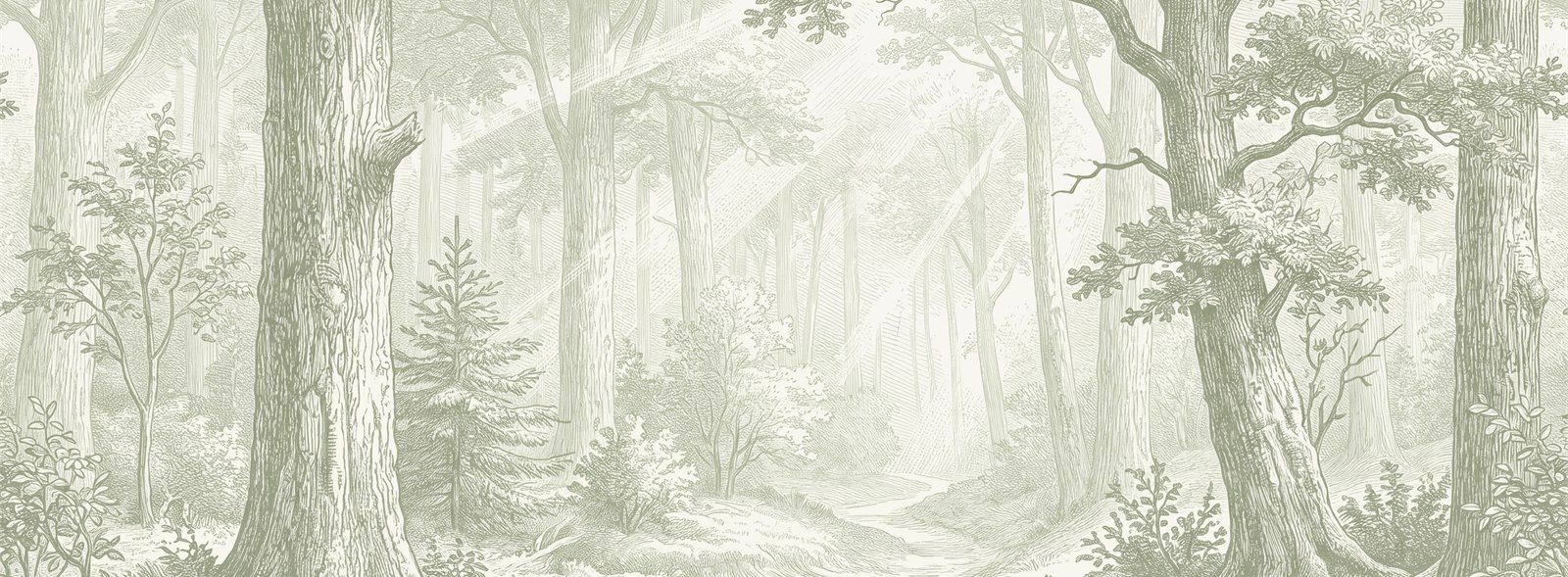 Grey Woodland Path Through Tall Trees Wallpaper Mural — Wallpaper Mural Design, Peel-and-stick Finish
