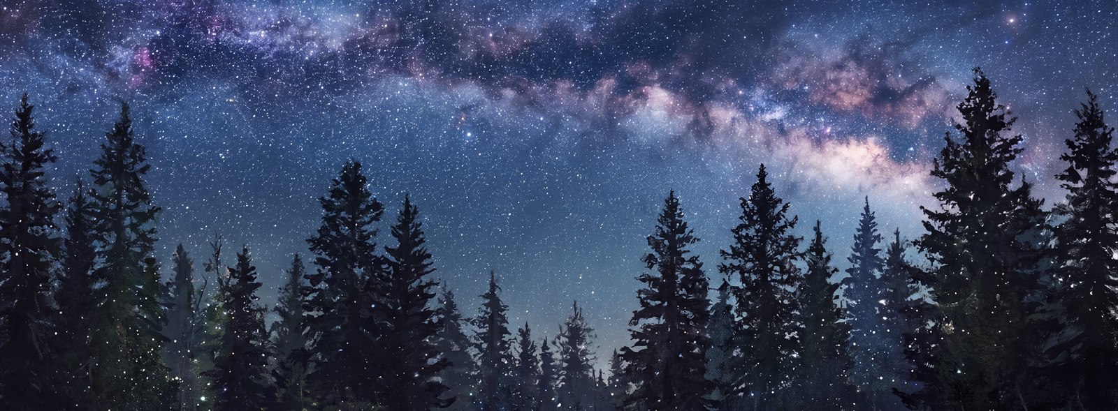 Navy Milky Way Pine Silhouette Wallpaper Mural — Wallpaper Mural Design, Peel-and-stick Finish