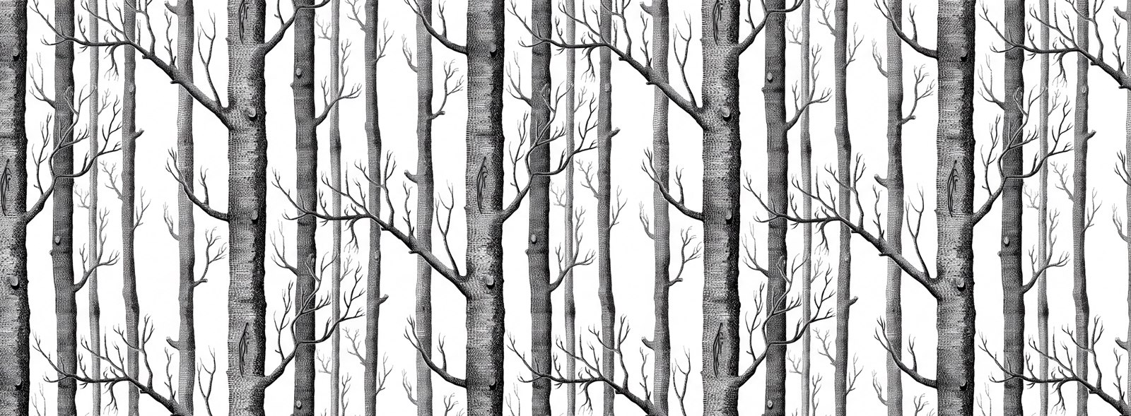 Grey Woodland Trees Decorative Wallpaper Mural Accent-wall-wallpaper-murals, Peel-and-stick Finish