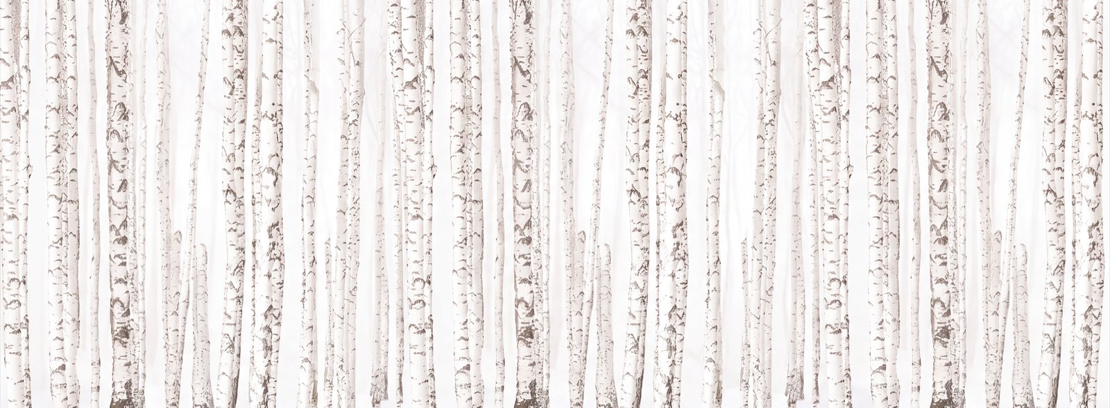 White Abstract Forms Wallpaper Mural Accent-wall-wallpaper-murals, Peel-and-stick Finish