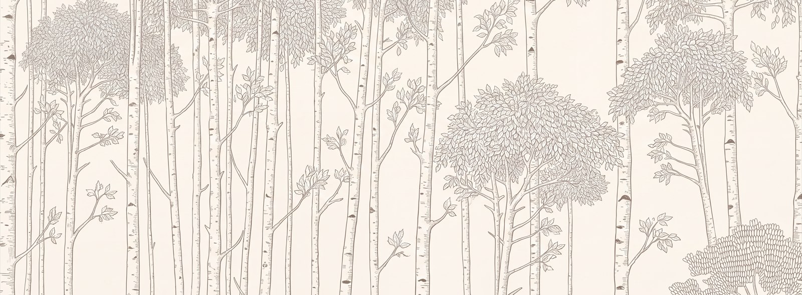 Tan And Neutral Abstract Forms Linear Brushwork Wallpaper Mural Accent-wall-wallpaper-murals, Peel-and-stick Finish