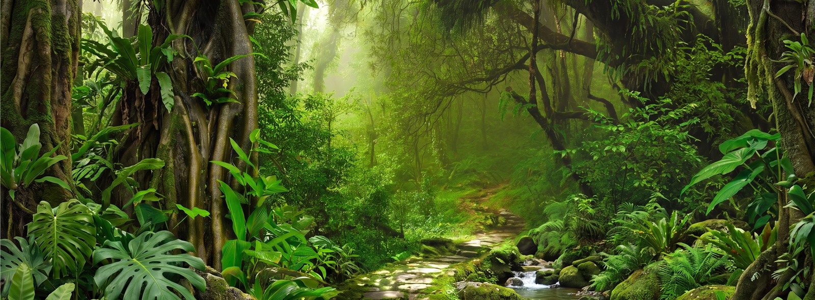 Green Jungle Stream And Ferns Wallpaper Mural — Wallpaper Mural Design, Peel-and-stick Finish