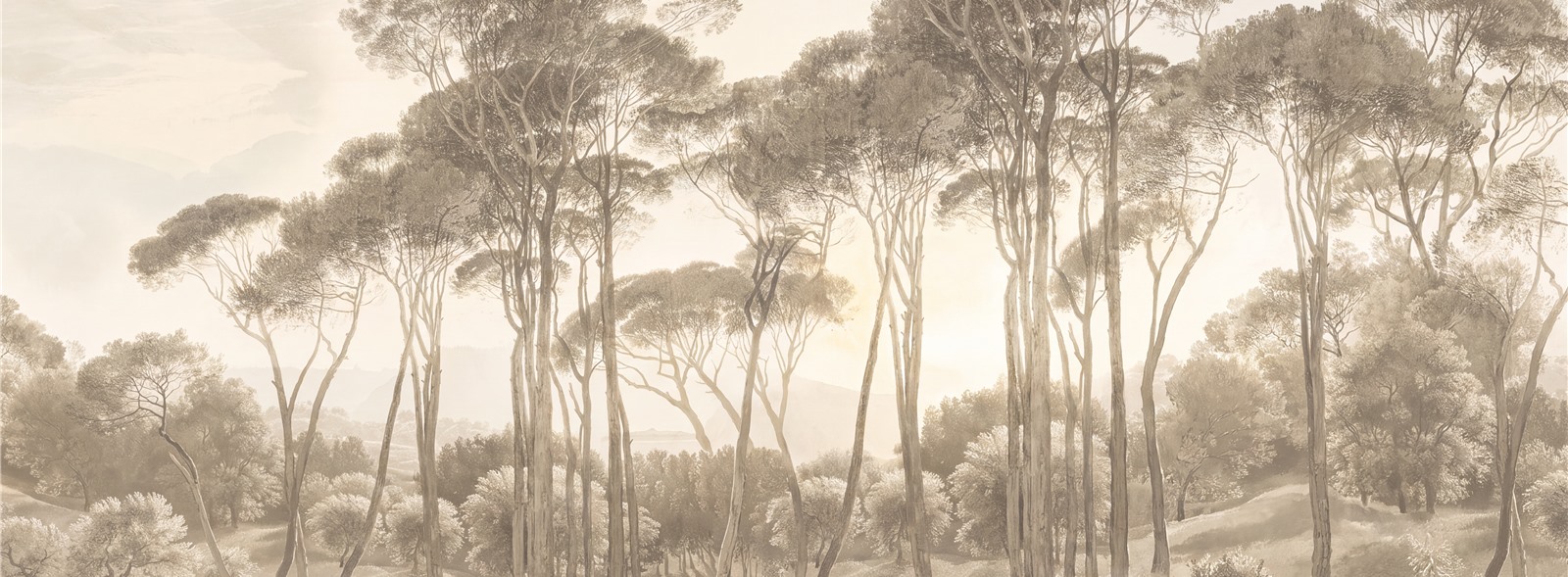 Sepia Umbrella Pines In A Misty Meadow Wallpaper Mural — Wallpaper Mural Design, Peel-and-stick Finish