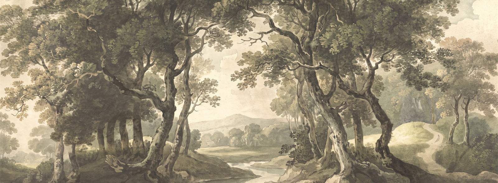 Olive Woodland Trees Forest Wallpaper Mural Accent-wall-wallpaper-murals, Peel-and-stick Finish